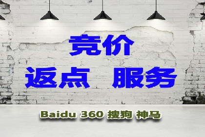竞价SEM与社交媒体结合的营销案例研究