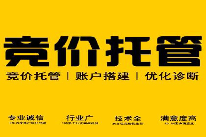 SEM主管案例分析：广告效果监控与调整
